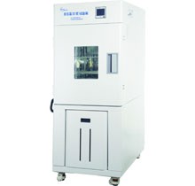 BPH-250B 高低温试验箱